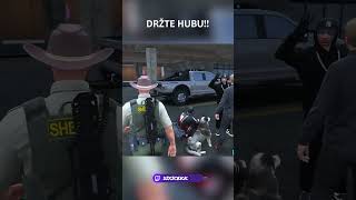 Držte hubu!!! #cz #czsk #gta #gtarp #pohodarirp #rp