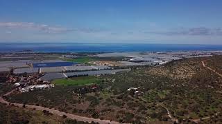 Ein Hod center