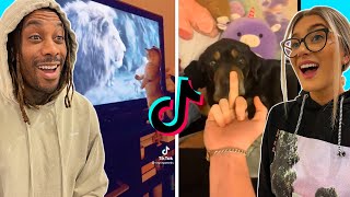 tik tok Cute Funny Animals To Brighten Up Your Day