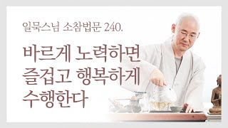 바르게 노력하면 즐겁고 행복하게 수행한다ㅣ일묵스님ㅣ제따와나선원 월요소참