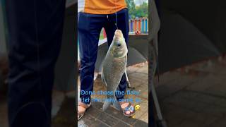 Caught fishy #fishing #shorts #funnyshorts #youtubeshort #lakeview #fish