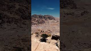 Termite Mound Ventilation: Nature's Engineering Marvel