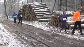 Run forest Run Appelscha