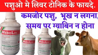 meboliv veterinary uses | meboliv liver tonic | meboliv syrup uses in hindi.