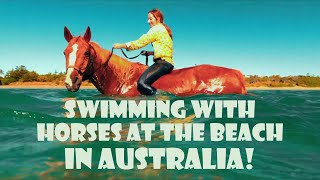 Australia Travel Vlog | Horses Swimming! | POV video with fun music!