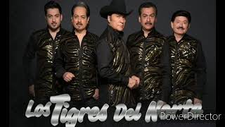 Mix de Los Tigres del Norte _ En que falle-El Ejemplo