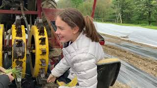 Cold Weather Can't Stop the A-Plus Farm Kid Crew from Planting Shallots