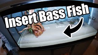 75 Gallon Aquascape for a PET BASS | SAVE MONEY at hardware store!