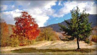 MICHAEL LANDON - Shenandoah