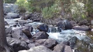 Sketching Glacier Creek, Rocky Mountain National Park