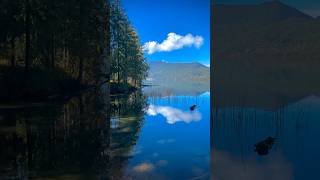 Rara Lake,Dolpa, Nepal #nepaltravel #travel #feedshorts #himalayas