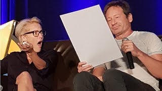 Gillian Anderson & David Duchovny Chicago Wizard World panel 2018