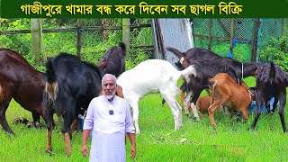 গাজীপুরে প্রান্তিক খামারী খামার বন্ধ করে দিবেন সব ছাগল বিক্রি goat farm