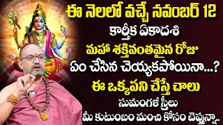 కార్తీక ఏకాదశి-ద్వాదశి విశిష్టత | Karthika Ekadasi Upavasam, Pooja Vidhanam | Nandhibatla #sumantv