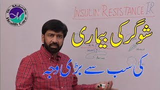 major cause of diabetes in urdu  /   شوگر یا ذیابیطس کی بڑی وجہ