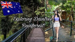 Cairns | Queensland | Australia Daintree Rainforest - Part 3