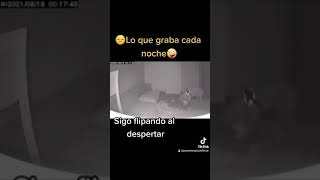 camara de vigilancia perruna