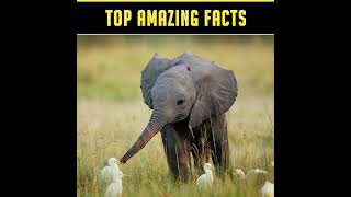 Curious Engaging And Crazy  Facts About Animals 🐞 | Fabulous Facts | #shorts #justujufacts