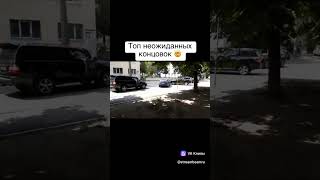 Заснял случайно спец операцию по задержания , я не могу ржу