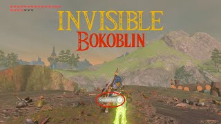 "Invisible" Bokoblin! | The Legend of Zelda Breath of the wild