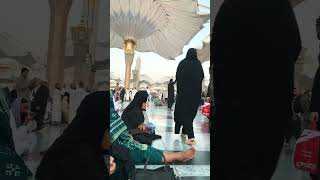 The umbrellas opening at the Prophet's Mosque in Medina, Saudi Arabia |#pbuhﷺ#madina#love#travel