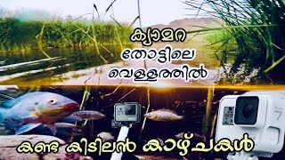 GoPro Hero Action Camara caught fish bizarre activity |കുളത്തിൽ ക്യാമറ ഇട്ടപ്പോൾ മീനുകൾ Maktoum dam