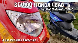 SCV100 Honda Lead | An Accidentally Brilliant Bike | New Zealand