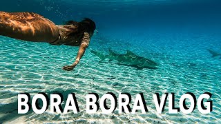 Swimming With Sharks In Bora Bora, How much we paid!? Vlog