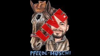 Livestream | Pferde Hoschi