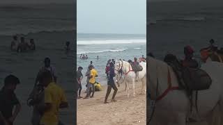 Chalo Marina Beach #chennai #marinabeach #chennailocaltrain