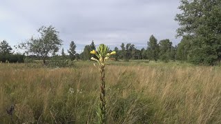 Дневник велосипедиста. Прогулка на Острова. 30 июня