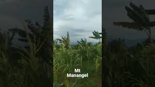 Gunung Manangel Cianjur #cianjur