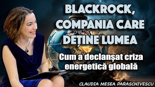 BlackRock, compania care detine lumea ＊ Cum a declansat criza energetica globala