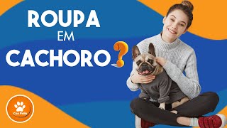 Roupa em cachorro