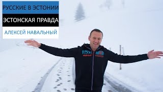 Навальный vs путин Перемен! Взгляд из Эстонии на арест Алексея Навального. Свободу Навальному!