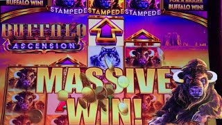 Got my First SUPER STAMPEDE on Buffalo Ascension, Massive Win! 🤑