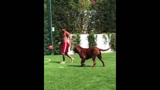 Messi Playing With His Dog