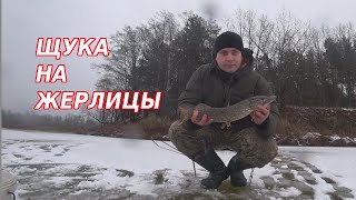 ЩУКА НА ЖЕРЛИЦЫ ВОТ ЭТО РЫБАЛКА