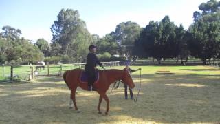 dressage canter practice