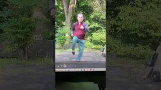 Yang tai chi long boxing: punch and snap kick with toe