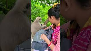 Langur mummy Ke Samne pitaai