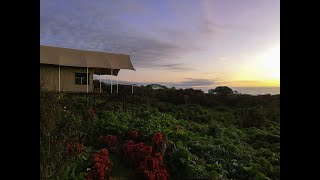 Equateur : un safari aux Galapagos