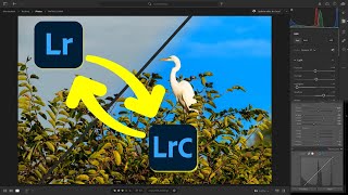 MY FAVORITE WAY To Sync Edits Between Lightroom & Lightroom Classic