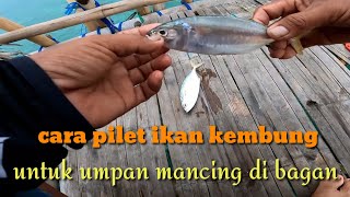 Cara pilet ikan kembung// untuk umpan mancing di bagan.