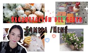 Organizando mi gasto quincenal por semana 01 al 08 Marzo | Compra y menú.