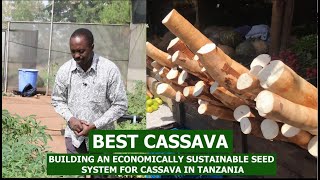 BEST CASSAVA:  Building an Economically Sustainable Seed System for Cassava in Tanzania