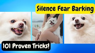 101 Tricks to Silence Fear Barking Dogs!