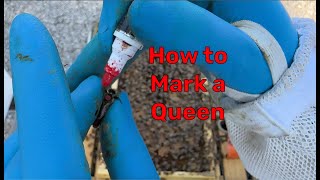 How to Mark a Queen