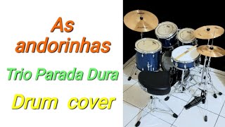 As andorinhas - Trio Parada Dura (drum cover by EdrummerBR) 🇧🇷