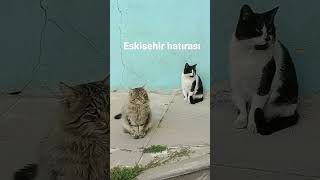 ESKİŞEHİR HATIRASI